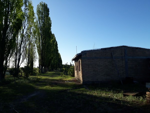 Vendo o Alquilo Finca en el Usillal