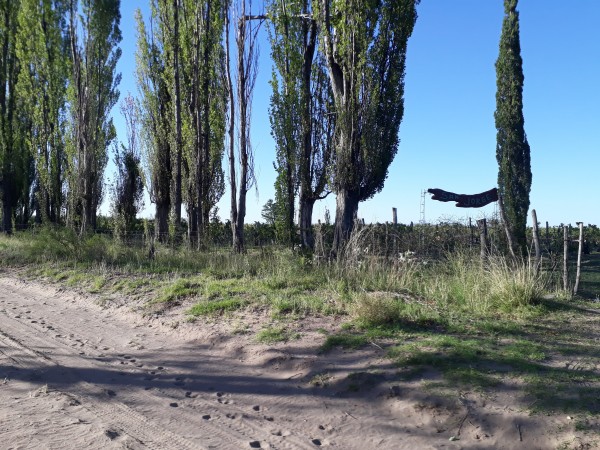 Vendo o Alquilo Finca en el Usillal