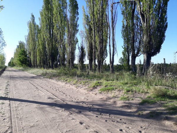 Vendo o Alquilo Finca en el Usillal