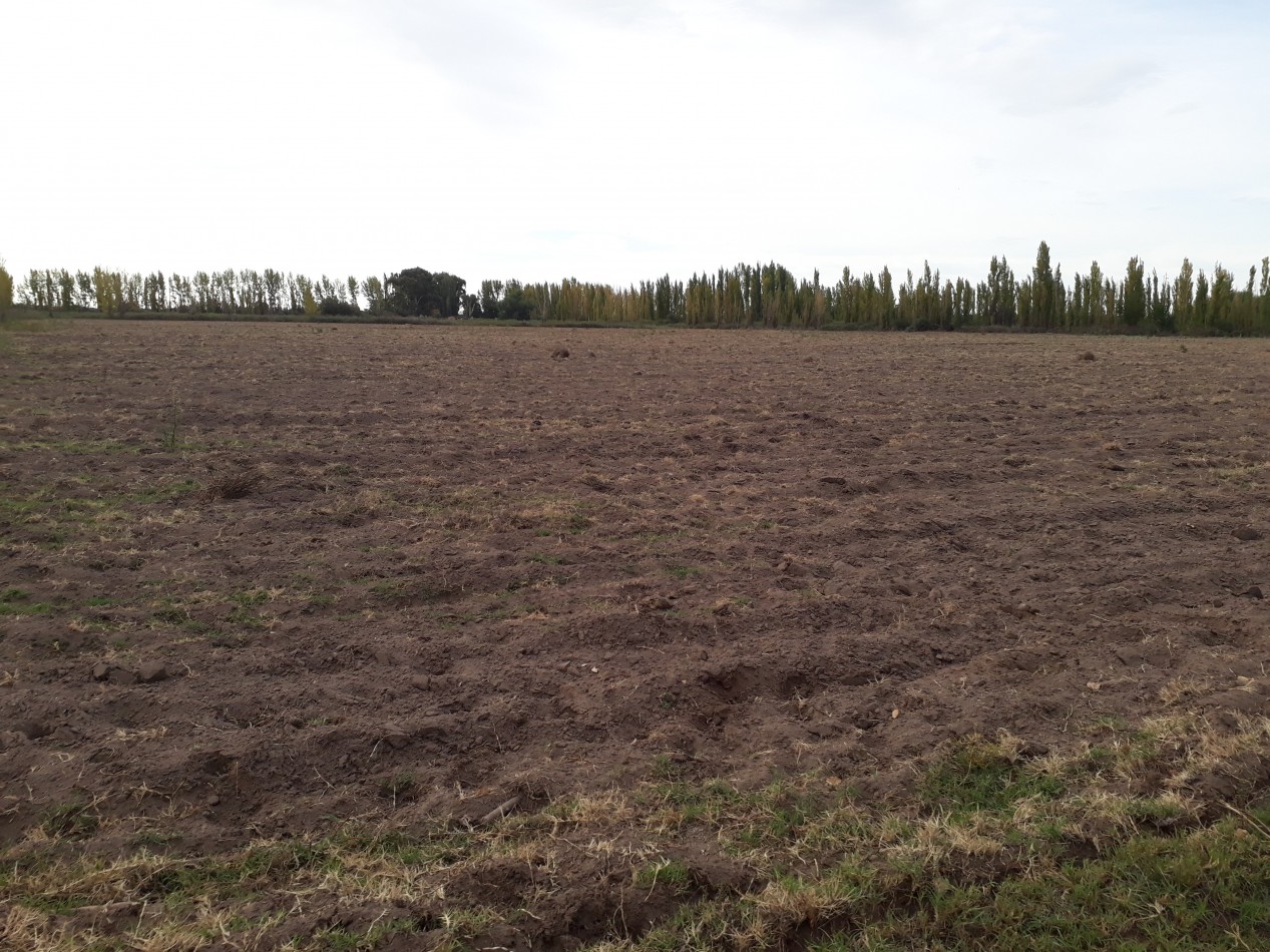 Vendo Finca en El Algarrobal