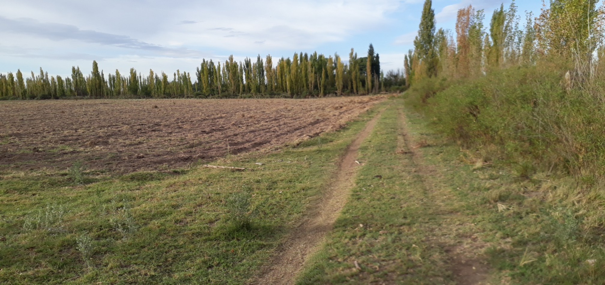 Vendo Finca en El Algarrobal