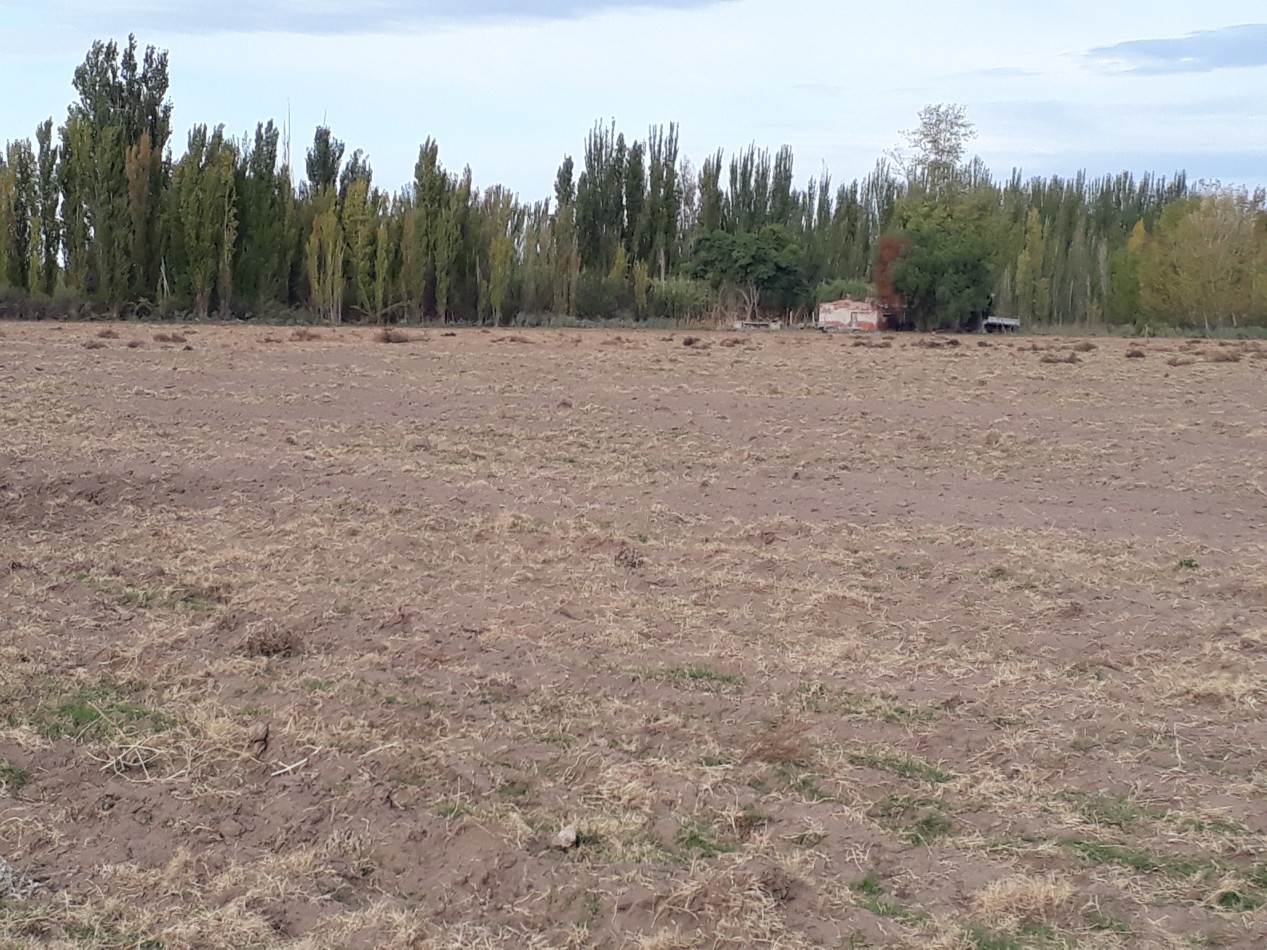 Vendo Finca en El Algarrobal
