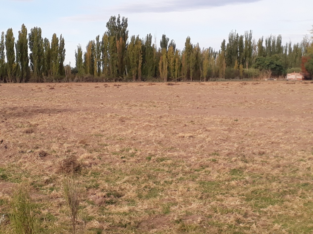 Vendo Finca en El Algarrobal