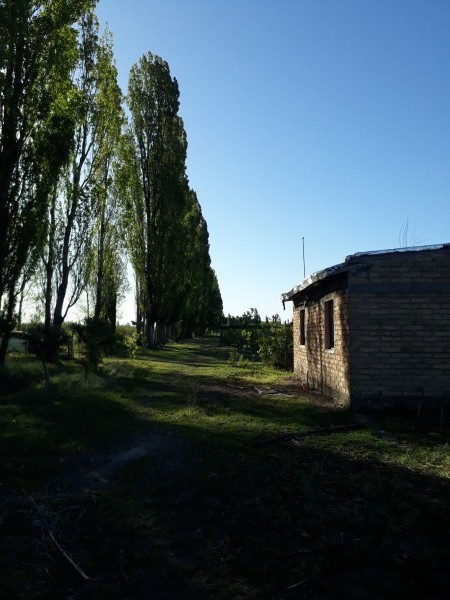 Vendo o Alquilo Finca en el Usillal
