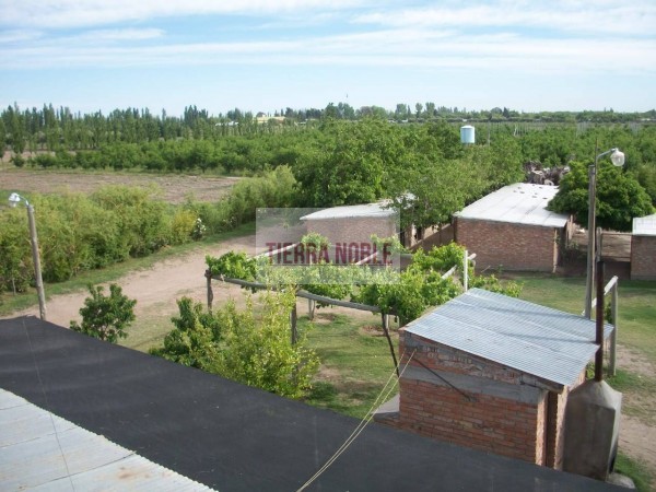 Vendo finca con galpon en Rama Caida