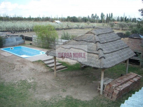 Vendo finca con galpon en Rama Caida