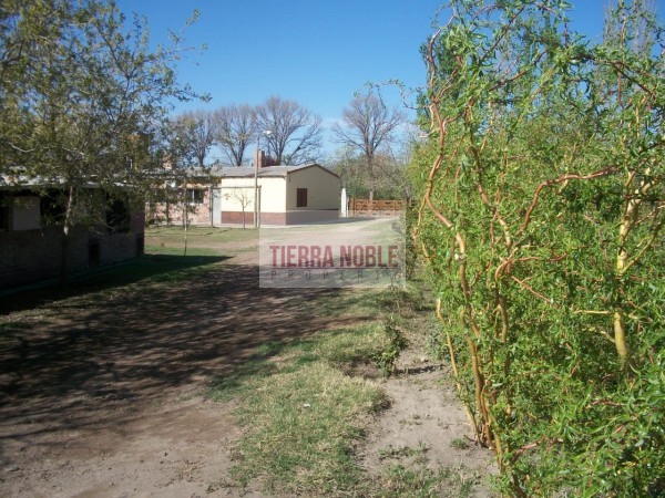 Vendo finca con galpon en Rama Caida