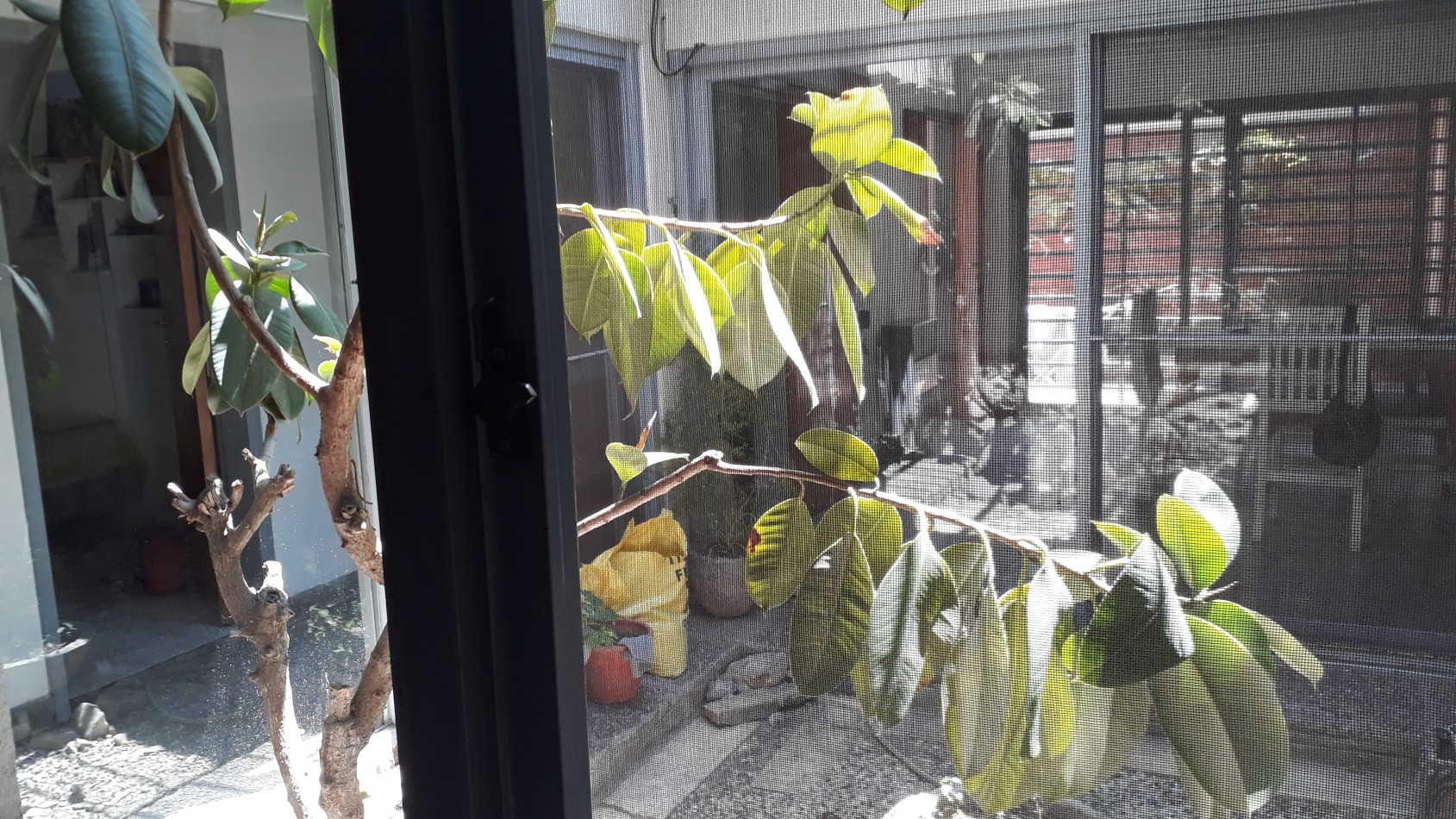 Vendo Casa Centrica tres dormitorios 