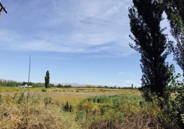 ¡Inversion Estrategica en San Rafael! Finca de 8 Hectareas sobre Ruta al Cañon del Atuel